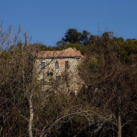 Casa Giacometti Grosseto-Prugna Kültér fotó