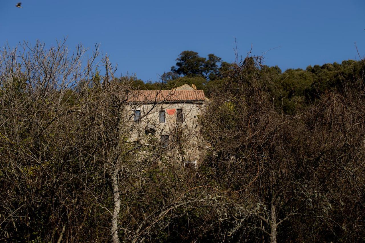 Casa Giacometti Grosseto-Prugna Kültér fotó
