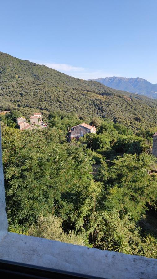 Casa Giacometti Grosseto-Prugna Kültér fotó